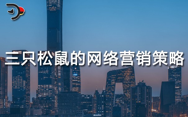 chat三只松鼠的網絡營銷策略.jpg