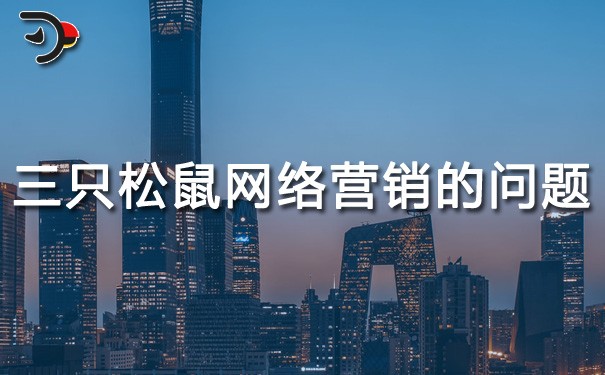 chat三只松鼠網絡營銷存在的問題.jpg