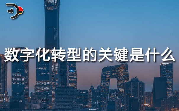 chat數字化轉型的關鍵是什么.jpg