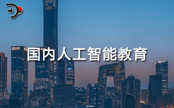 chat國內人工智能教育.jpg