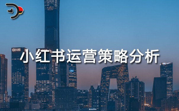 小紅書運營策略分析.jpg